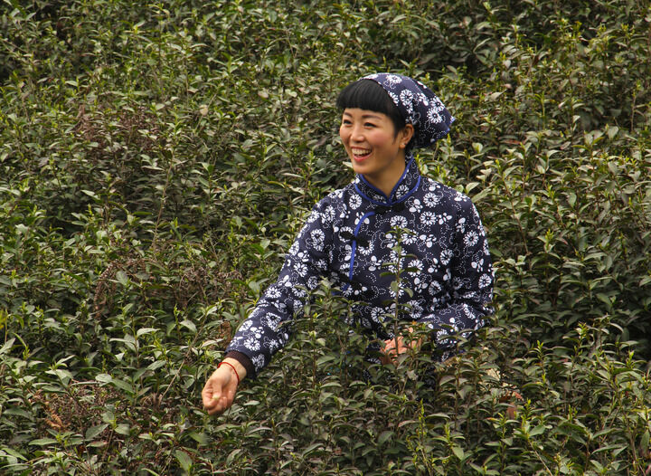 直播跳舞8